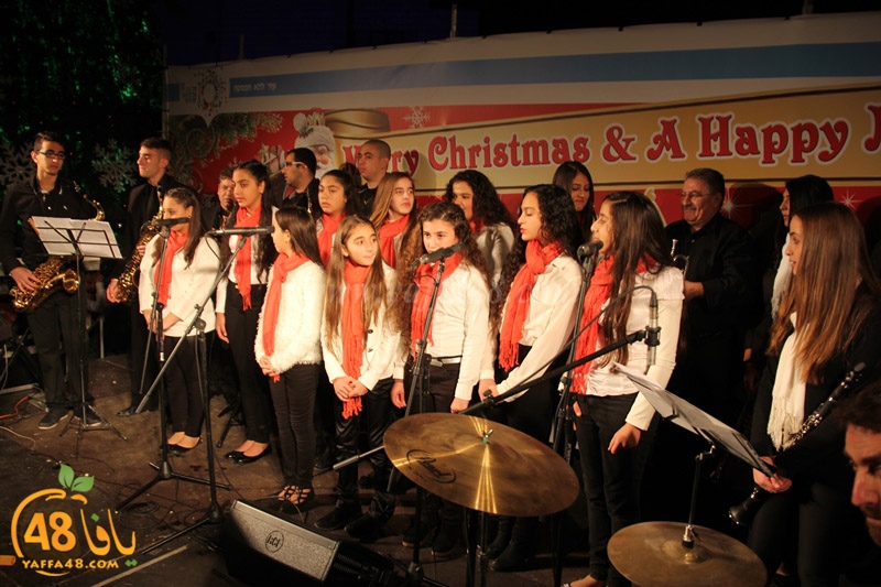 tree xrismass (3).JPG